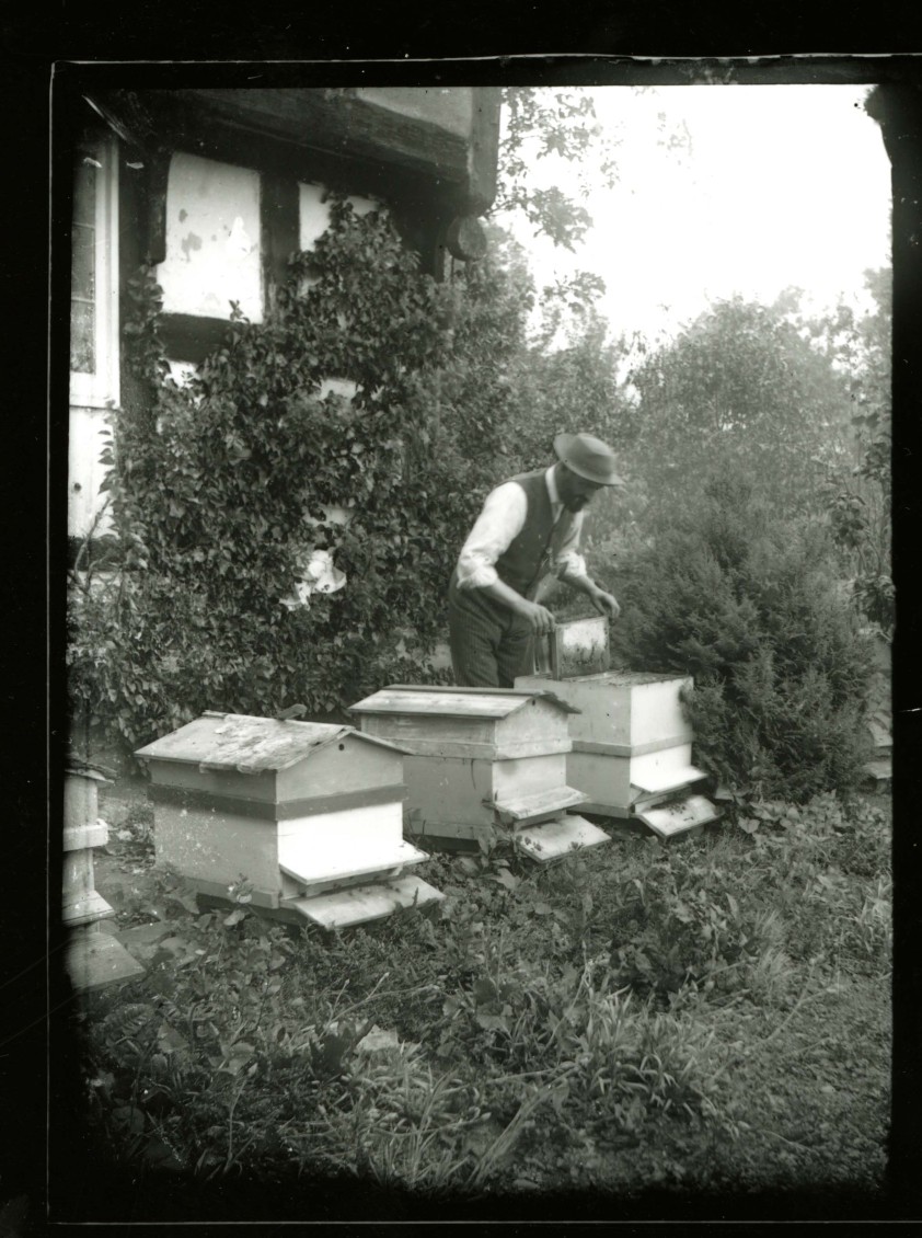 Watkins1661_removing a frame from a frame hive